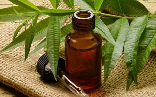 Tea tree oil - a folk remedy for removing warts on the penis
